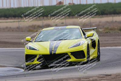 media/Jul-31-2022-Speed Ventures (Sun) [[bfb4b6530b]]/Black Group/Grapevine/